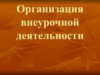 Организация внеурочной деятельности