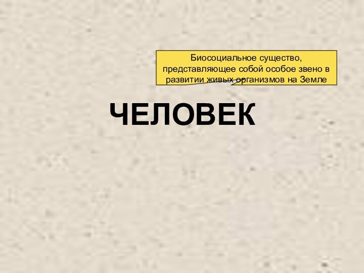 ЧЕЛОВЕКБиосоциальное существо, представляющее собой особое звено в развитии живых организмов на Земле