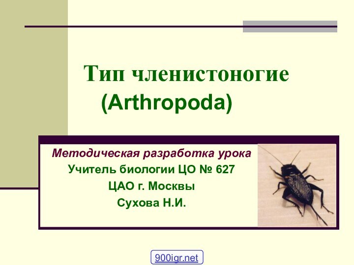 Тип членистоногие 	(Arthropoda)Методическая разработка урокаУчитель биологии ЦО № 627ЦАО г. МосквыСухова Н.И.