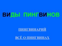 Виды пингвинов