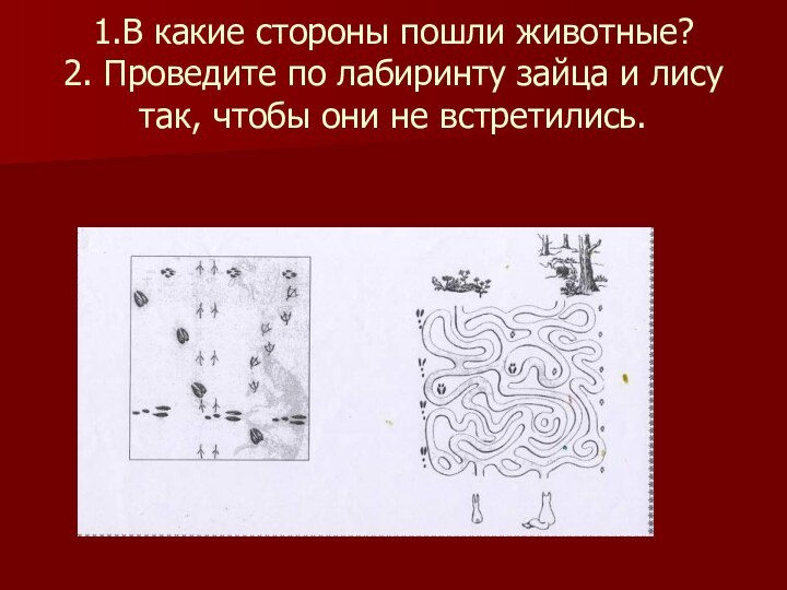 1.В какие стороны пошли животные? 2. Проведите по лабиринту зайца и лису