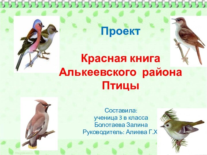 Проект   Красная книга Алькеевского района Птицы Составила:ученица 3 в класса Болотаева ЗалинаРуководитель: Алиева Г.Х.