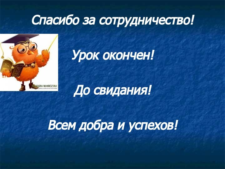 Спасибо за сотрудничество! Урок окончен! До свидания! Всем добра и успехов!