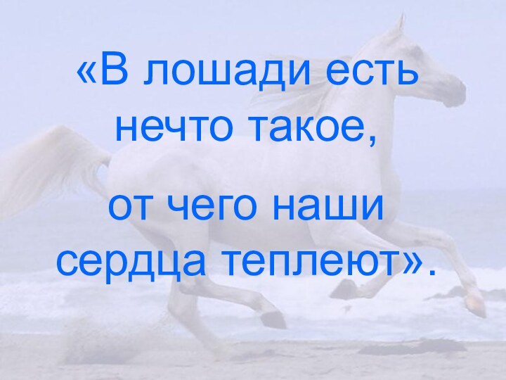 «В лошади есть нечто такое,от чего наши сердца теплеют».