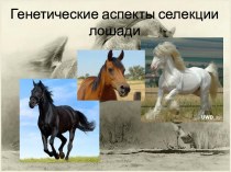 Генетические аспекты селекции лошадей