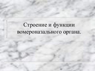 Строение и функции вомероназального органа