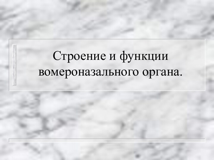 Строение и функции вомероназального органа.