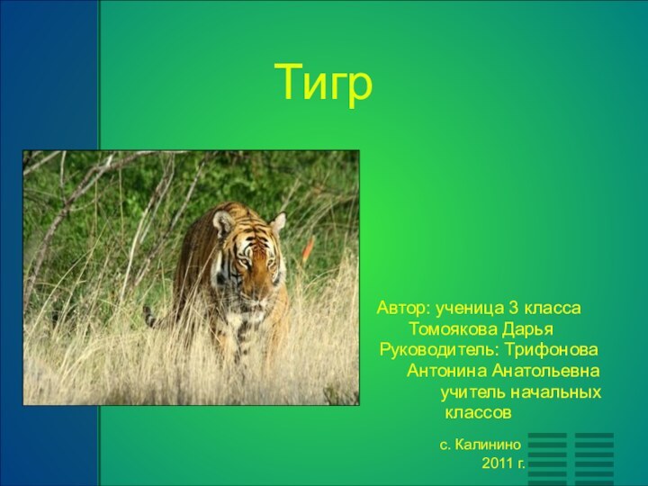 ТигрАвтор: ученица 3 класса  Томоякова Дарья  Руководитель: Трифонова