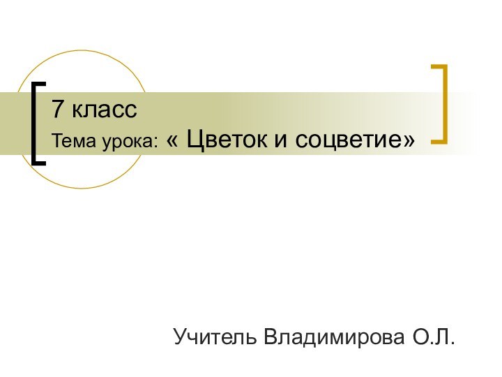 7 класс  Тема урока: « Цветок и соцветие»Учитель Владимирова О.Л.