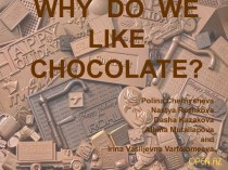 Why do we like chocolate?