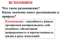 Половое размножение животных