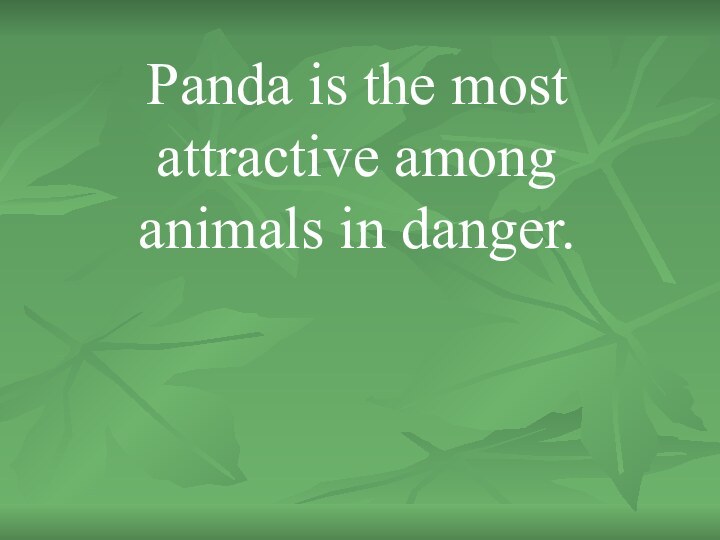 Panda is the most attractive among animals in danger.