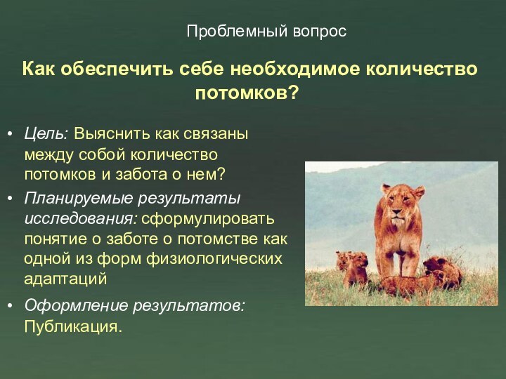 Как обеспечить себе необходимое количество потомков?Цель: Выяснить как связаны между собой количество