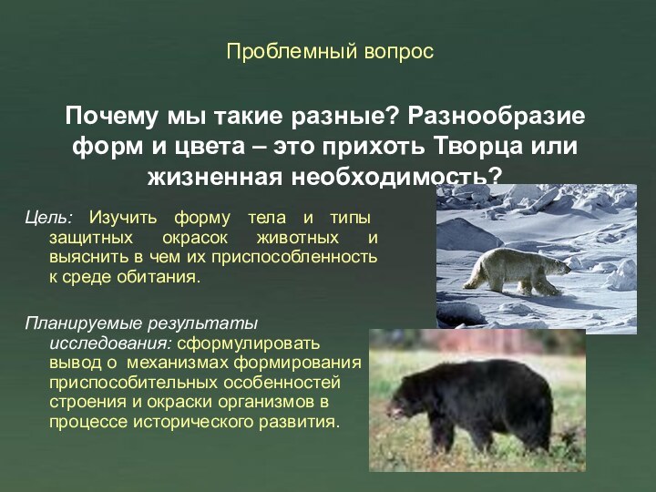 Почему мы такие разные? Разнообразие форм и цвета – это прихоть Творца