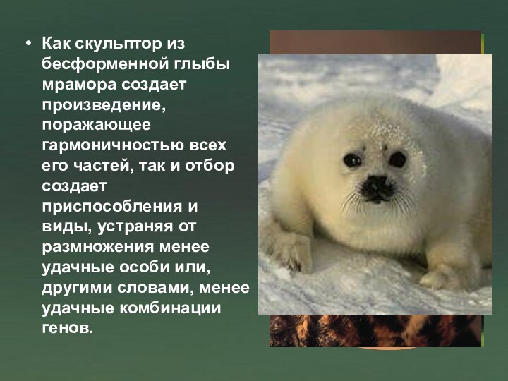 Как скульптор из бесформенной глыбы мрамора создает произведение, поражающее гармоничностью всех его