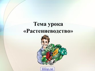 Выращивание растений