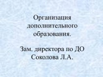 Организация дополнительного образования