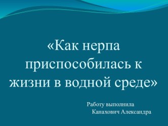 Как нерпа приспособилась к жизни в водной среде