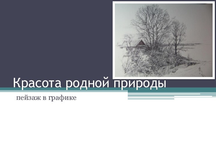 Красота родной природы пейзаж в графике