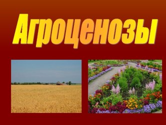 Агроценозы