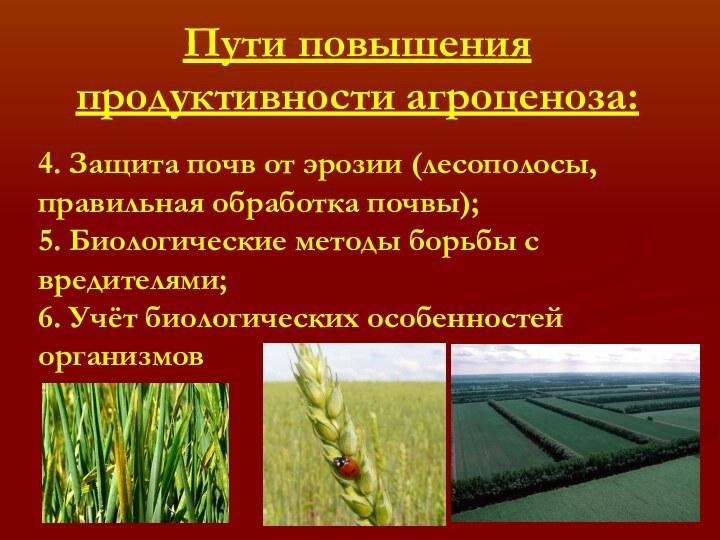 Пути повышения продуктивности агроценоза:4. Защита почв от эрозии (лесополосы, правильная обработка почвы);5.