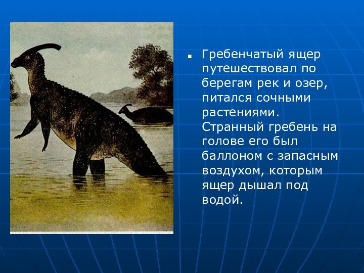 Гребенчатый ящер путешествовал по берегам рек и озер, питался сочными растениями. Странный
