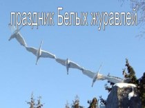 Праздник Белых журавлей