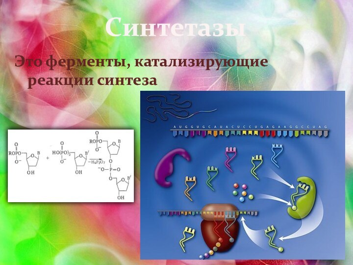 СинтетазыЭто ферменты, катализирующие реакции синтеза