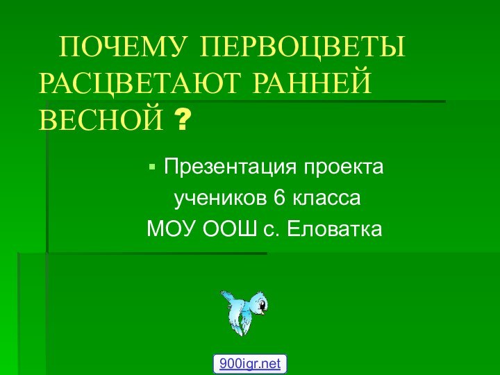 Презентация проекта учеников 6 класса МОУ ООШ с. Еловатка ПОЧЕМУ ПЕРВОЦВЕТЫ РАСЦВЕТАЮТ РАННЕЙ ВЕСНОЙ ?