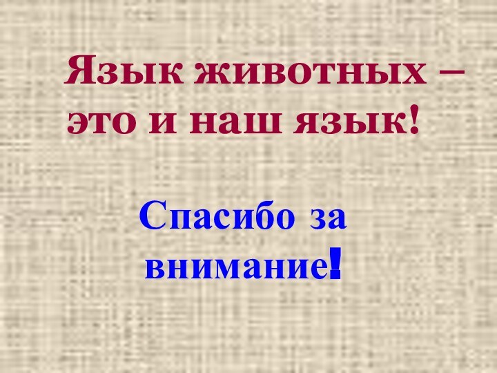 Язык животных – это и наш язык!Спасибо за внимание!