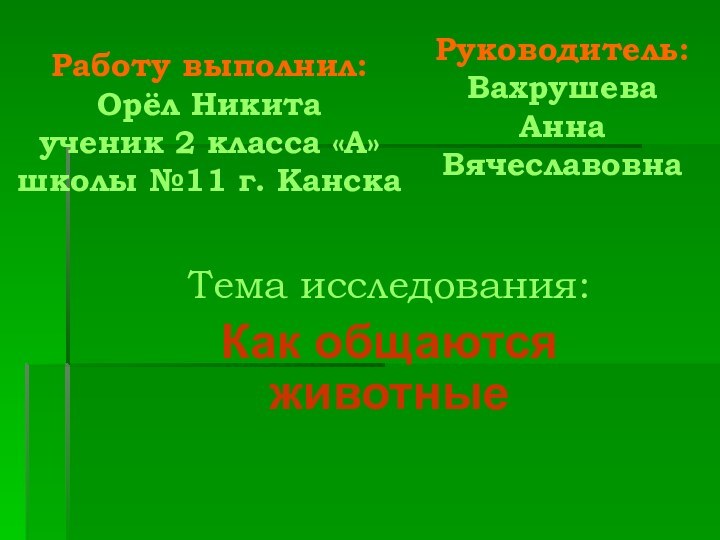 Работу выполнил:  Орёл Никита ученик 2 класса «А» школы №11 г.