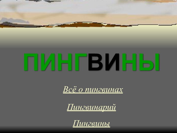 ПИНГВИНЫВсё о пингвинахПингвинарийПингвины