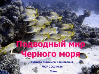 Подводный мир Черного моря