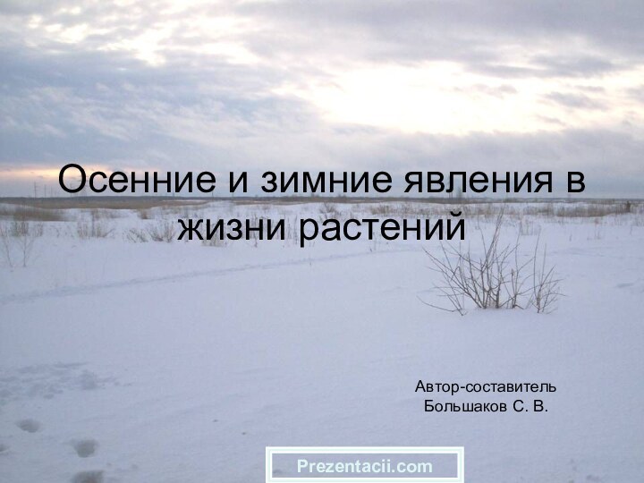 Осенние и зимние явления в жизни растенийАвтор-составительБольшаков С. В.Prezentacii.com