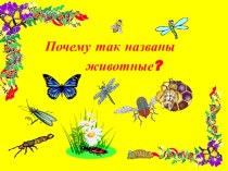 Почему так названы животные?