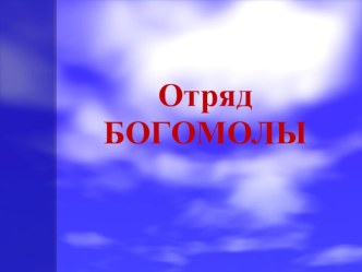 Отряд Богомолы