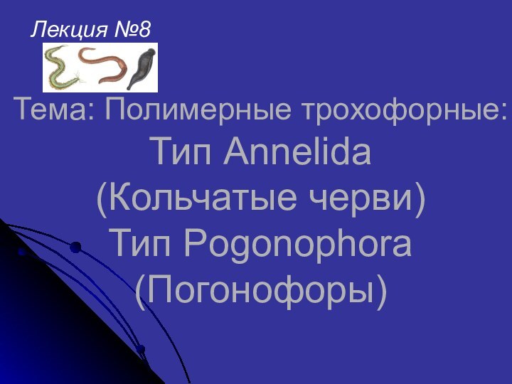 Тема: Полимерные трохофорные: Тип Annelida (Кольчатые черви) Тип Pogonophora (Погонофоры)Лекция №8
