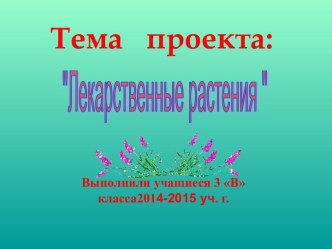 Лекарственные травы