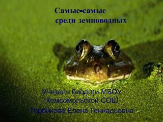 Самые-самые среди земноводных