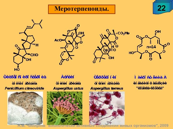 Меротерпеноиды. 22А.М. Чибиряев 