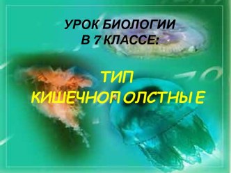 Тип кишечнополстные