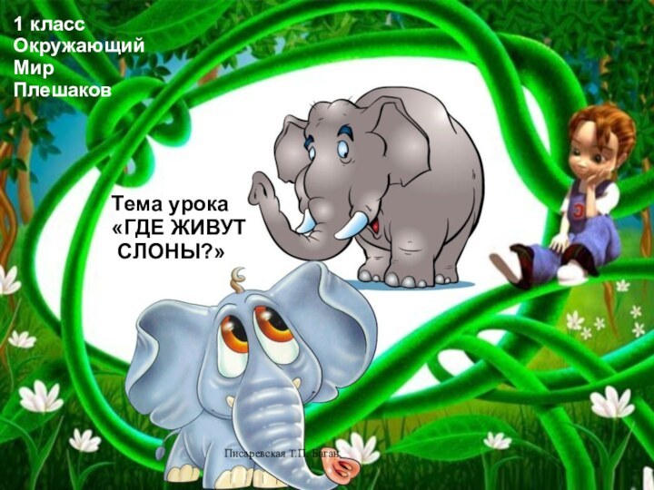 Писаревская Т.П. БаганТема урока«ГДЕ ЖИВУТ СЛОНЫ?»1 классОкружающийМирПлешаков