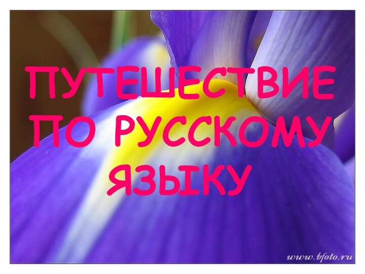 ПУТЕШЕСТВИЕ  ПО РУССКОМУ ЯЗЫКУ