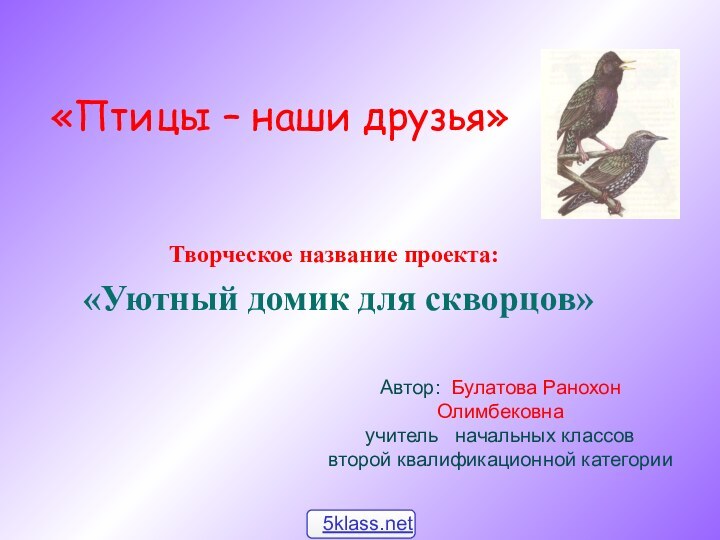 Творческое название проекта: «Уютный домик для скворцов»Автор: Булатова Ранохон