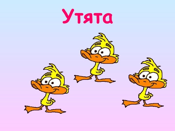 Утята