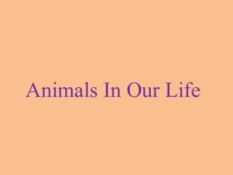 Animals In Our Life