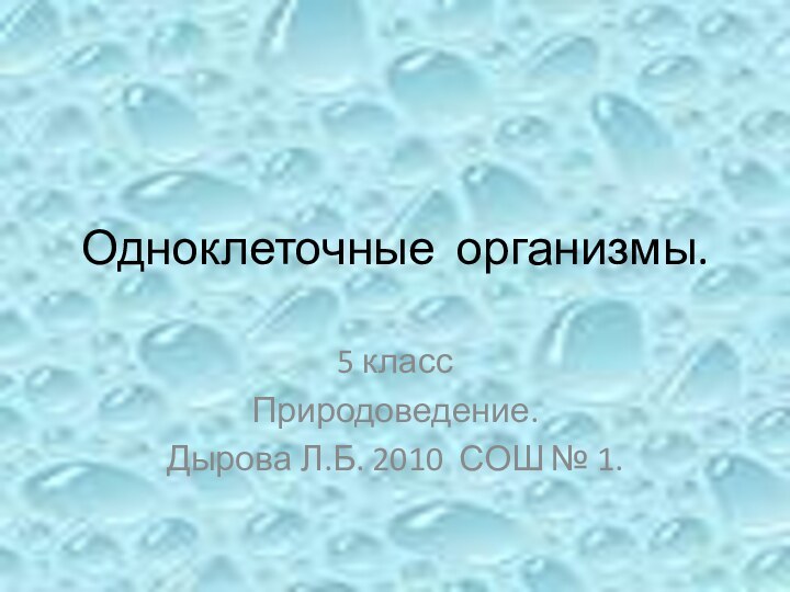 Одноклеточные организмы.5 классПриродоведение.Дырова Л.Б. 2010 СОШ № 1.