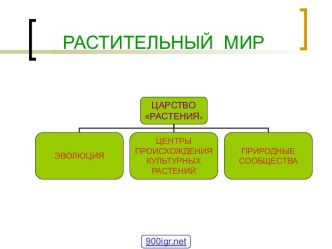 Эволюция растительного мира