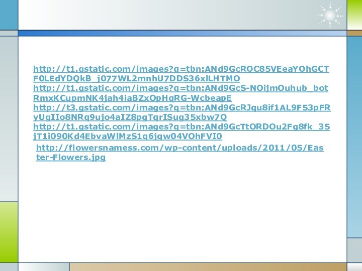 http://t1.gstatic.com/images?q=tbn:ANd9GcRQC85VEeaYQhGCTF0LEdYDQkB_j077WL2mnhU7DDS36xlLHTMOhttp://t1.gstatic.com/images?q=tbn:ANd9GcS-NOijmOuhub_botRmxKCupmNK4jah4iaBZxOpHqRG-WcbeapEhttp://t3.gstatic.com/images?q=tbn:ANd9GcRJqu8if1AL9F53pFRyUgIIo8NRq9ujo4aIZ8pgTqrISug35xbw7Qhttp://t1.gstatic.com/images?q=tbn:ANd9GcTtORDOu2Fg8fk_35jT1i090Kd4EbvaWlMzS1q6jqw04VOhFVI0http://flowersnamess.com/wp-content/uploads/2011/05/Easter-Flowers.jpg