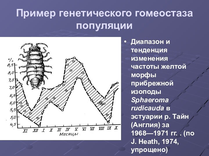 Пример генетического гомеостаза популяцииДиапазон и тенденция изменения частоты желтой морфы прибрежной изоподы